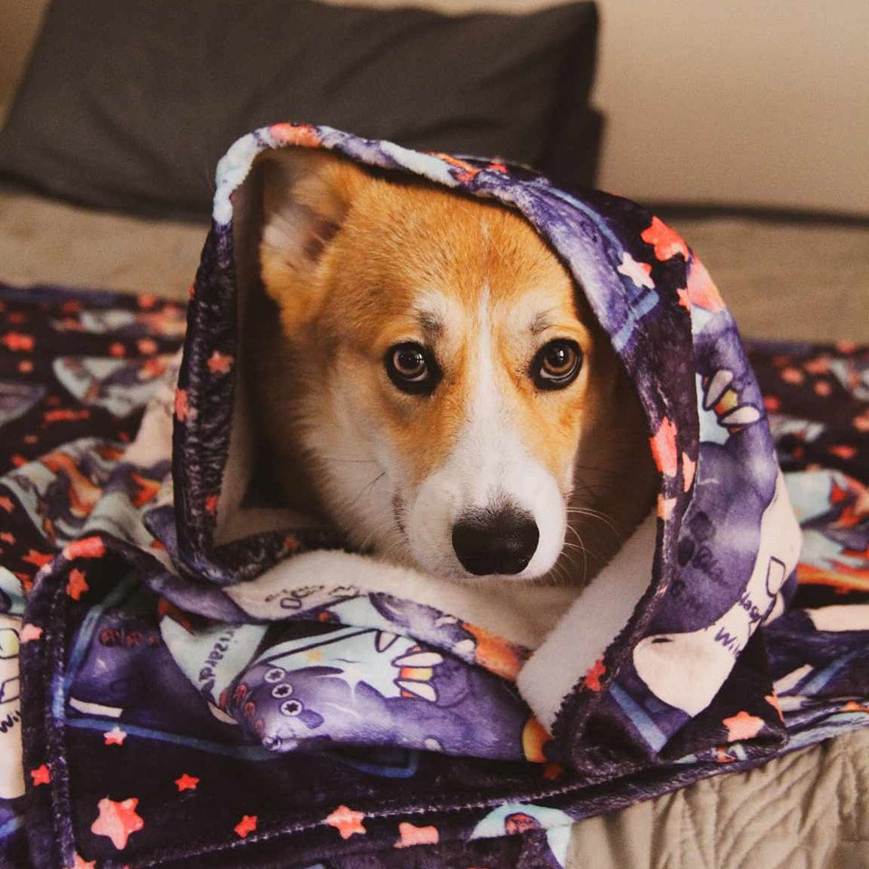 Blanket Pre-Order