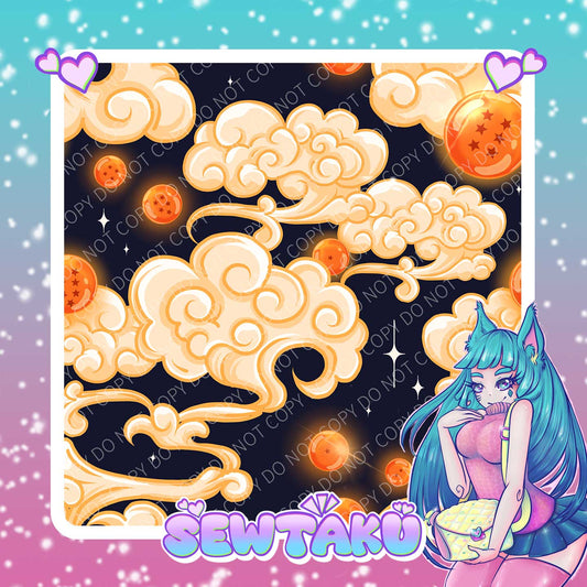 DBZ Dragon ball Coord Pre-Order